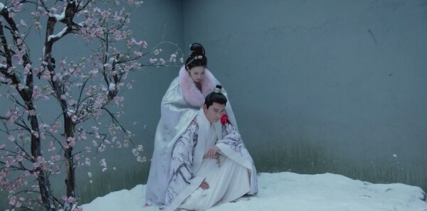 �����ּ��������