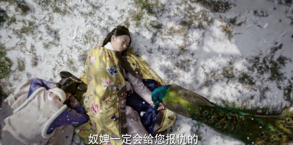 ��ܲ���ּ��������