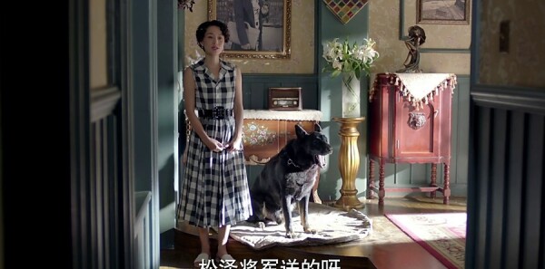 �굶��Ե�ּ��������