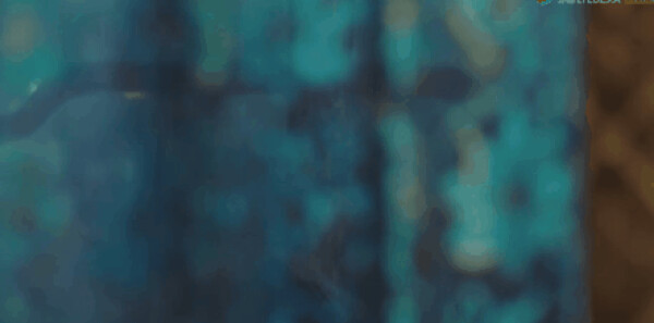 ���������Ƿּ��������