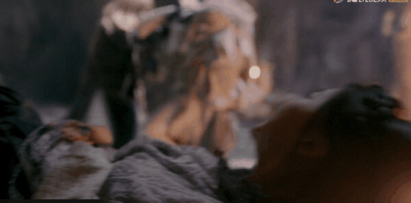 ���������Ƿּ��������