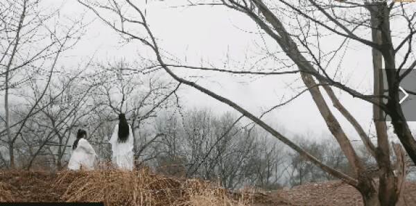 ���������Ƿּ��������