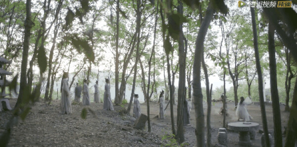 ���������Ƿּ��������