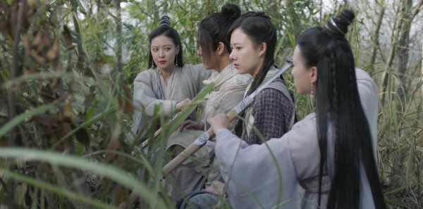 ���������Ƿּ��������