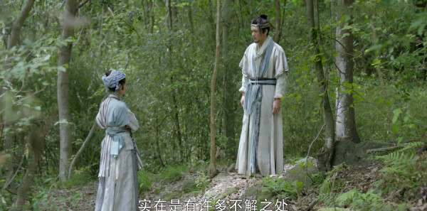 ���������Ƿּ��������