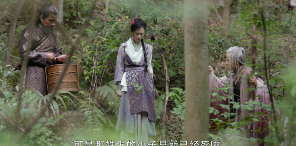 ���������Ƿּ��������