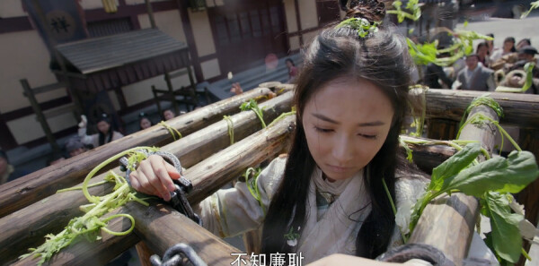 ���������Ƿּ��������