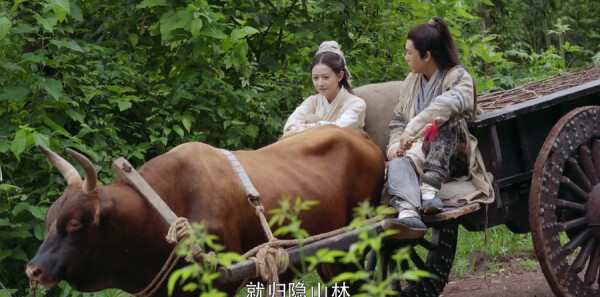 ���������Ƿּ��������