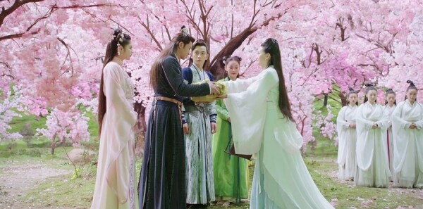 ��л���ɻ�����ּ��������