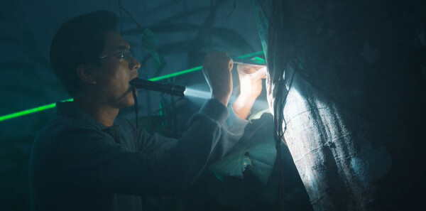 ��ʧ��ʮһ��ּ��������