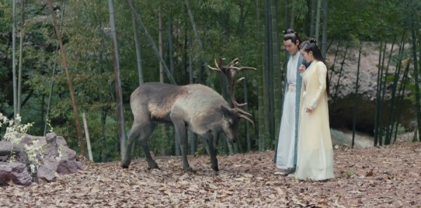 ��ҡ�ּ��������