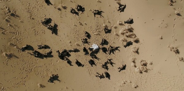 ��ҡ�ּ��������