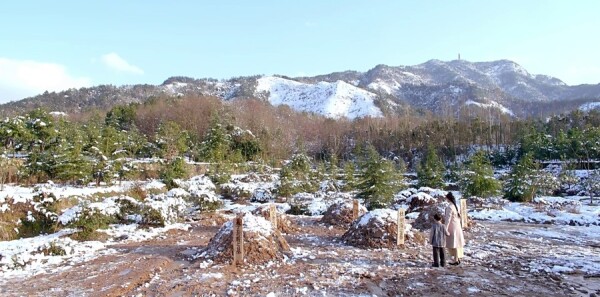 Ů�ܼҷּ��������