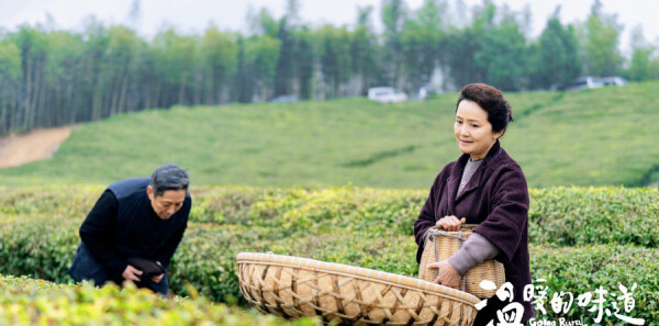 ��ů��ζ���ּ��������