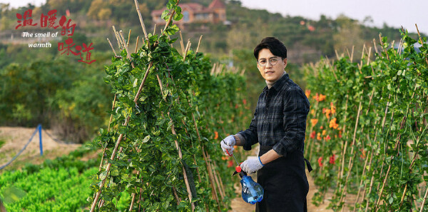 ��ů��ζ���ּ��������