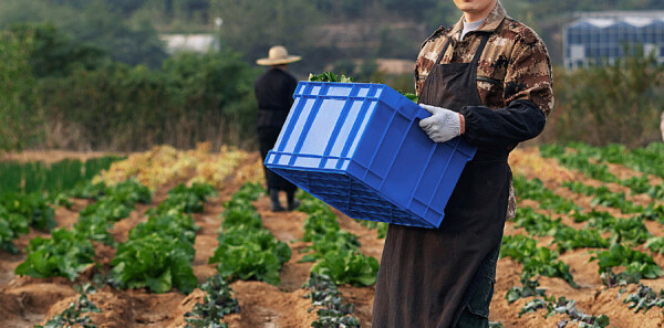 ��ů��ζ���ּ��������