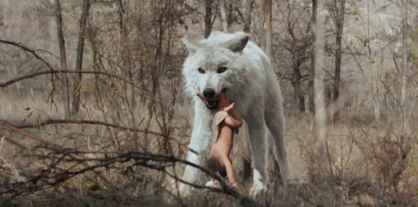 ��¹ԭ�ּ��������