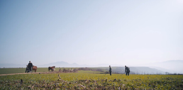 ��¹ԭ�ּ��������