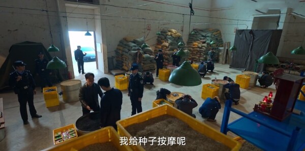 ��쭷ּ��������